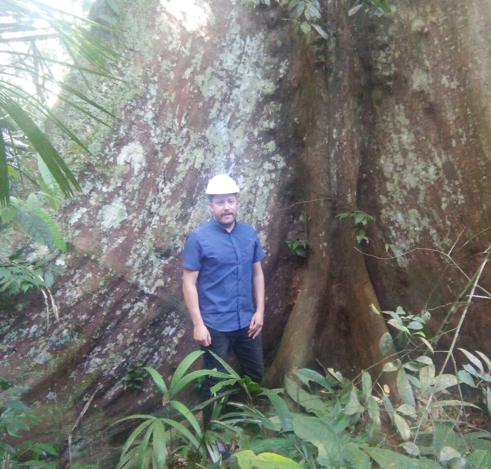 Contextual illustration for Maximising Responsible Timber Sourcing With Traceability And Transparency In Place