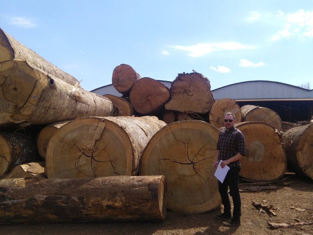 Contextual illustration for Maximising Responsible Timber Sourcing With Traceability And Transparency In Place