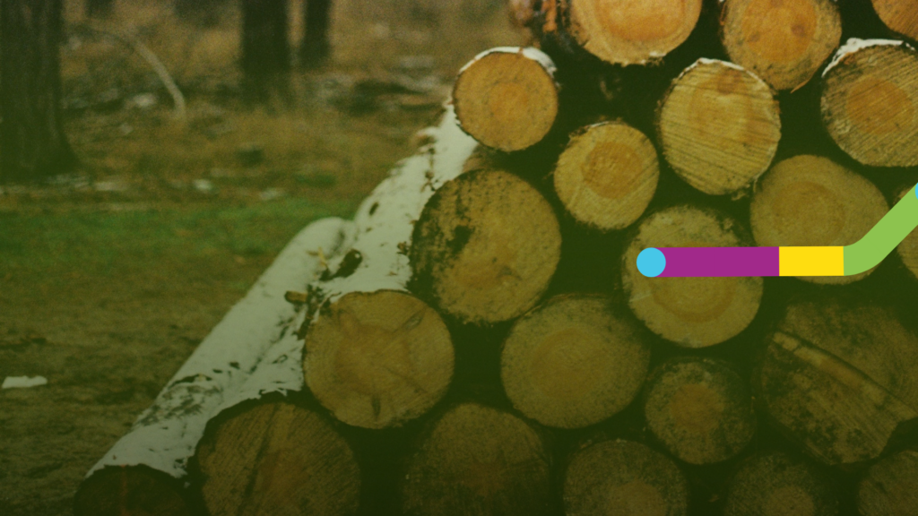 DNA Testing Is Transforming Timber Supply Chains DoubleHelix